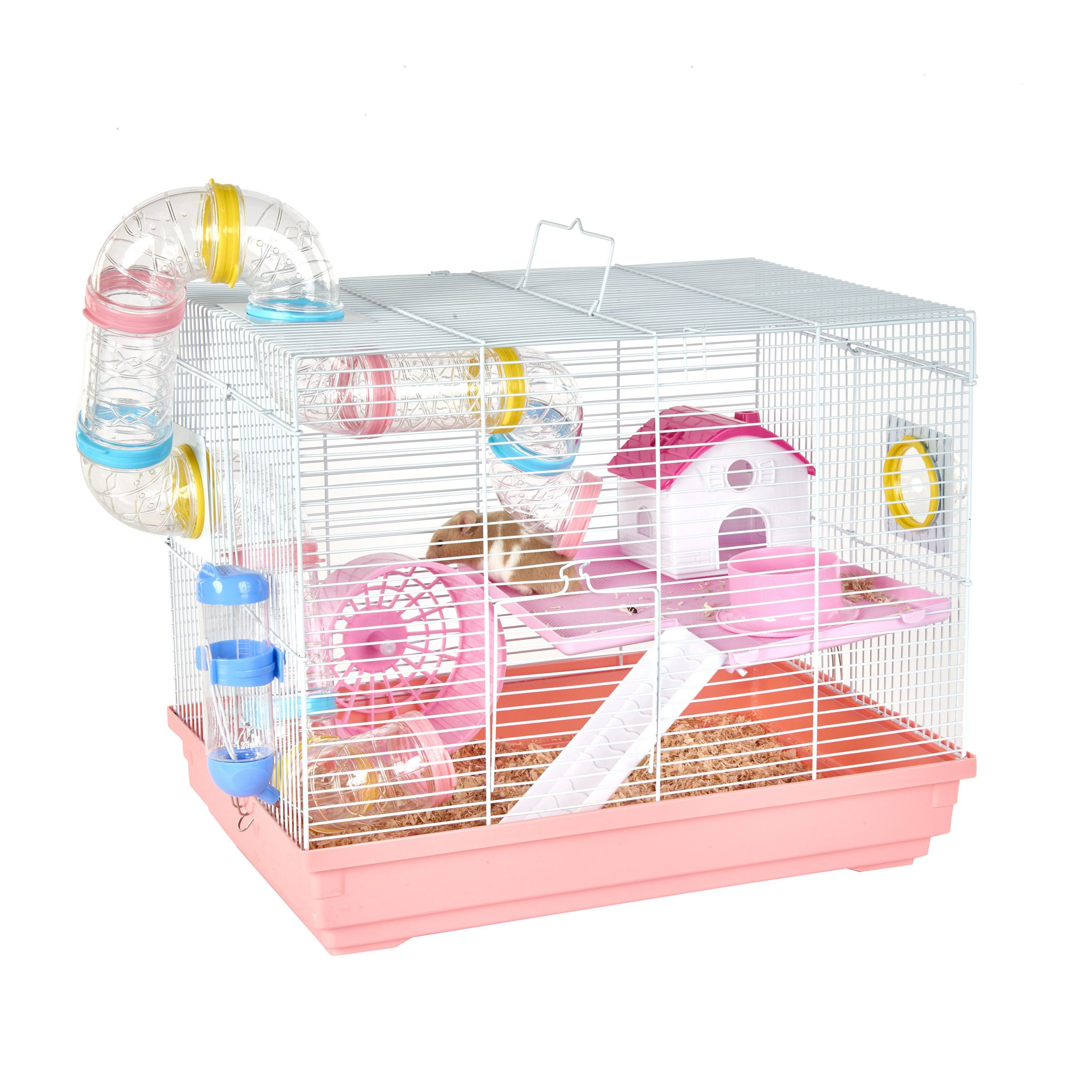 Dwarf Hamster Set-Up, Starter Kit | Direct Parrots | Seth's Little Zoo