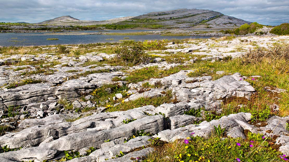 Karst limestone lanscape of the burren,Mountain Ways Ireland - Walking Holidays in Ireland: 9 of The Best Routes - The Burren Way & Aran Islands