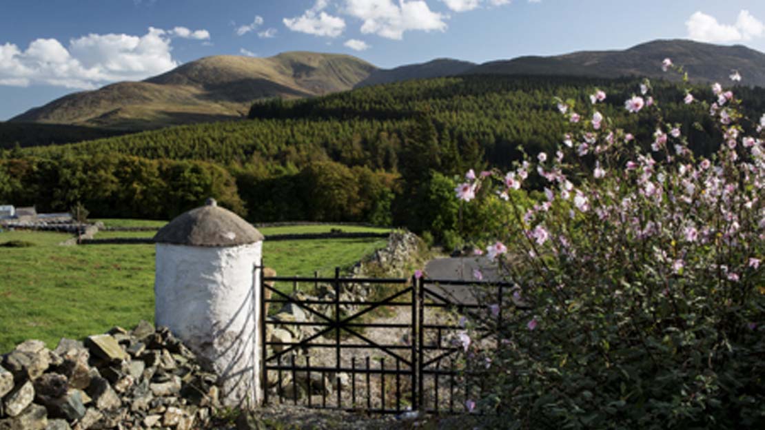 iron gateway in Mourne mountains white washed pillar