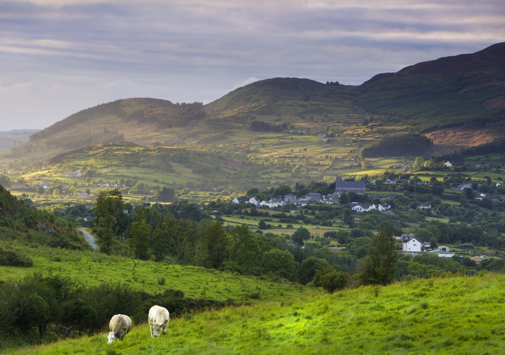 Church,cattle,mountain and fields