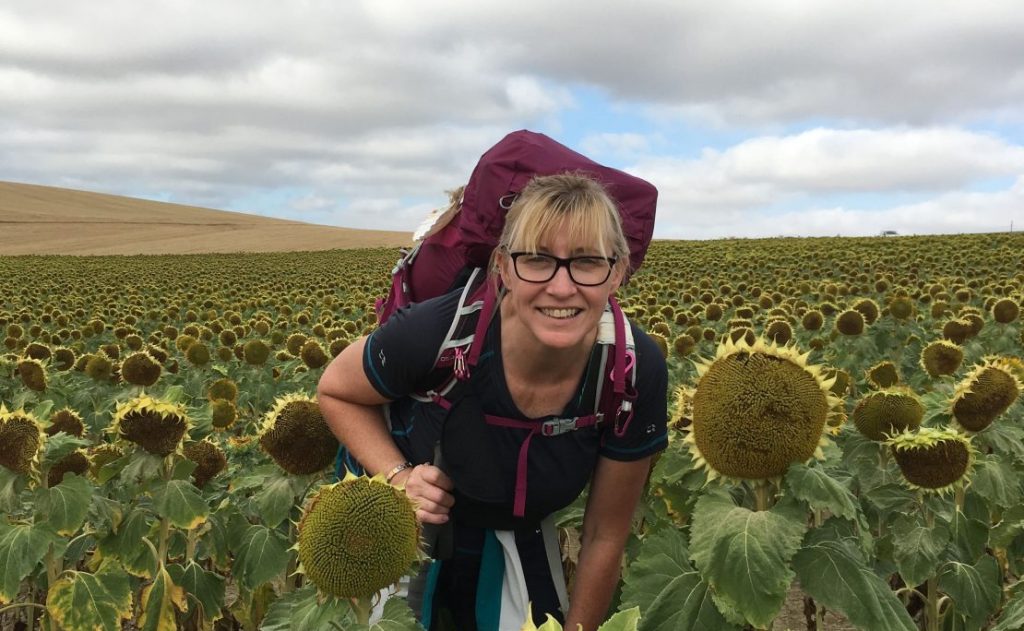 Lady with rucksack in Sunflower field on Camino