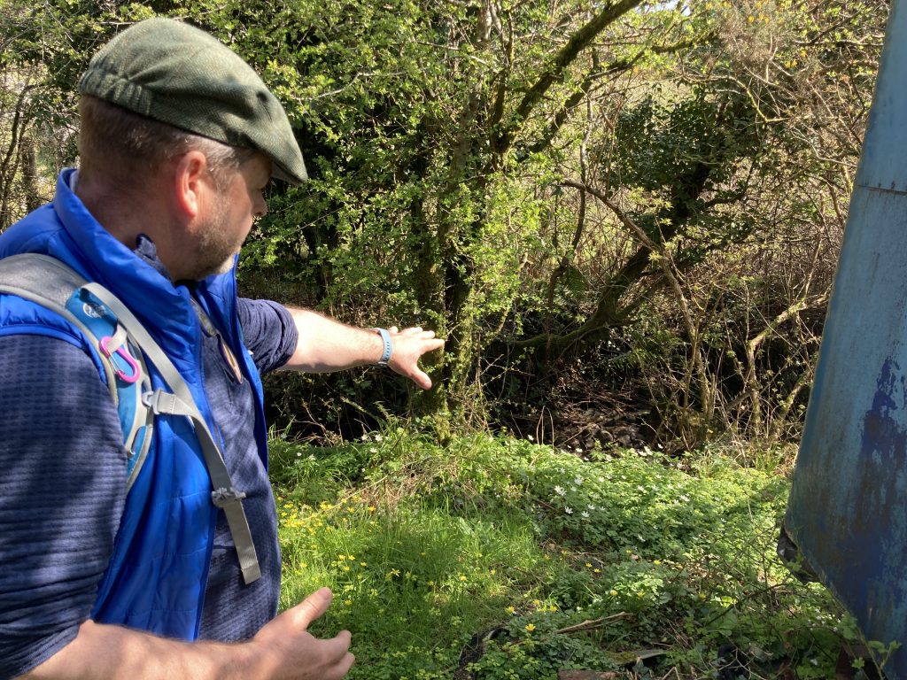 man in cap points out wildflowers
