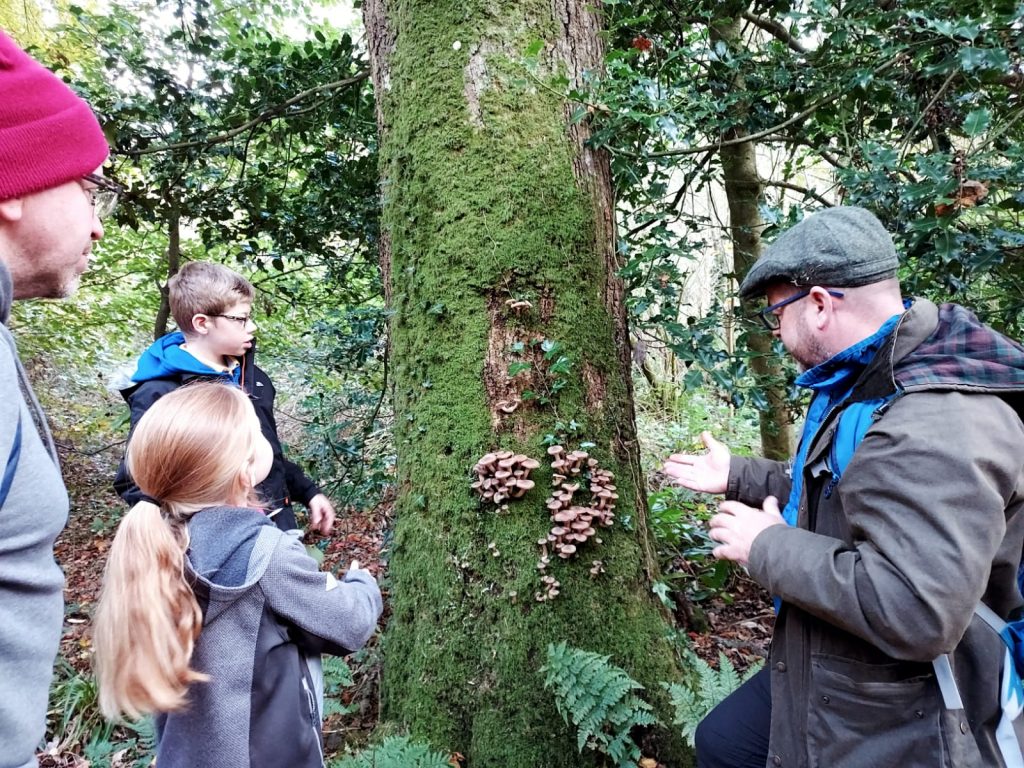 Brian shows Honey Fungus on a Forageing Walk