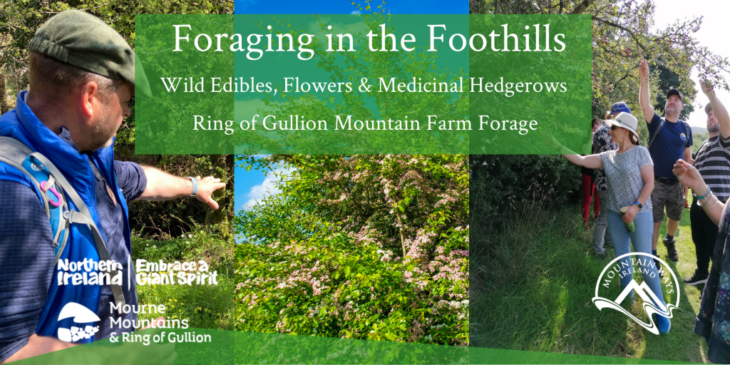 Foraging in the Foothills