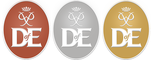 DofE logos