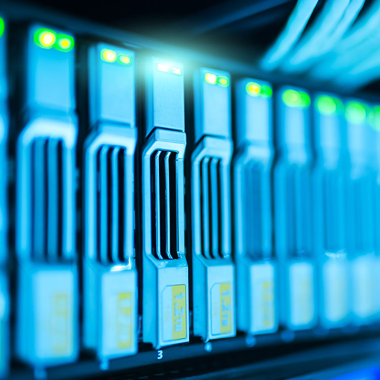 Domain name registration and hosting with Wibble Web design