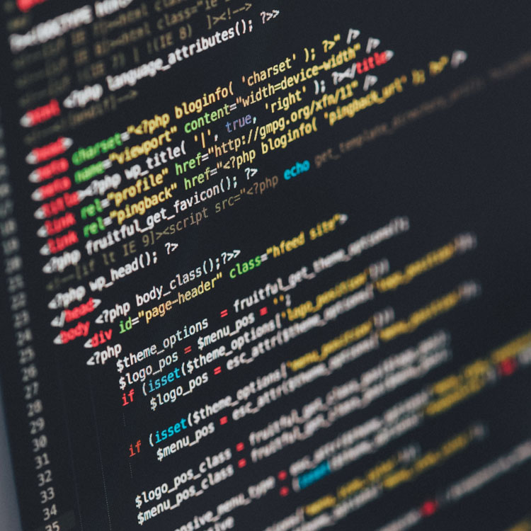 WordPress development and hosting in Ireland