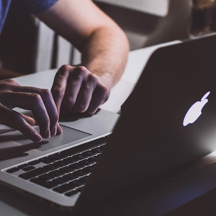 Wibble Support: Setting up an out of office on the Wibble email service