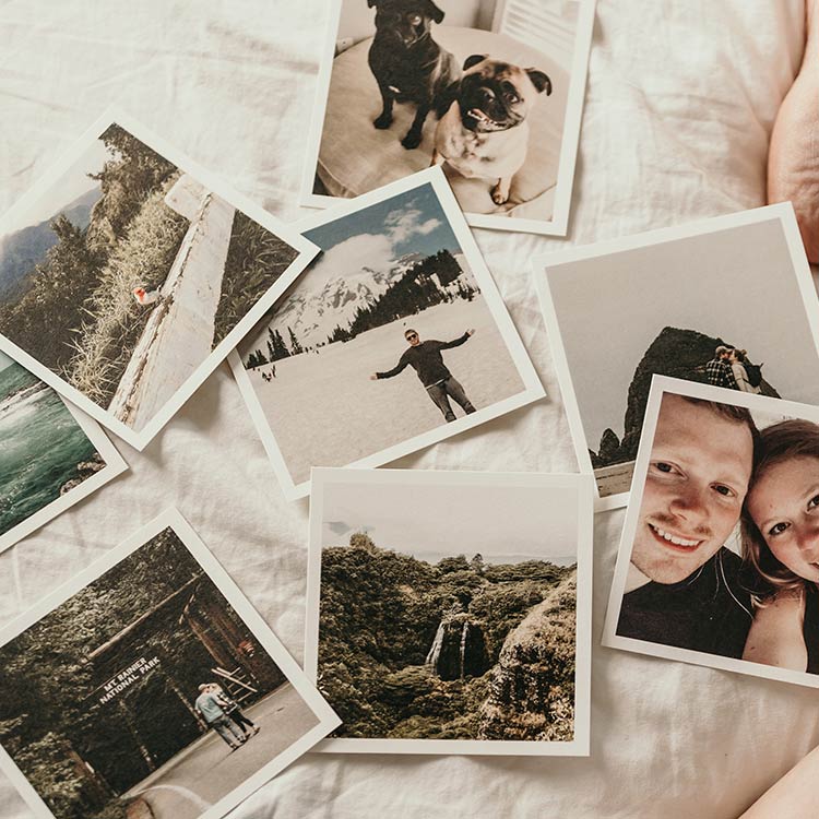 WordPress Support: Creating a simple image gallery on a WordPress site without a plugin