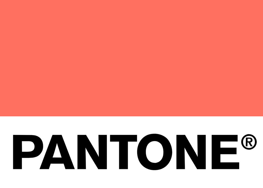 Pantone colour inspiration for Wibble web deisgn belfast
